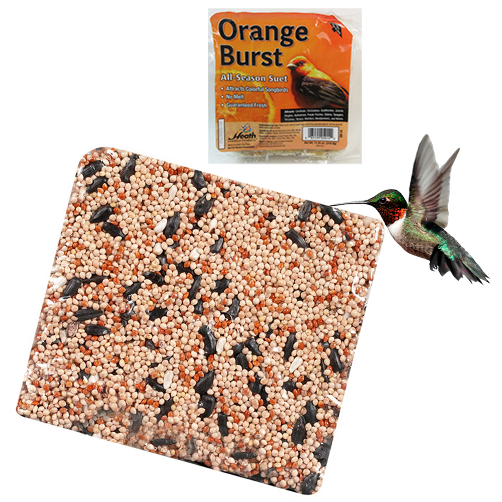 Wild Bird Suet Cake 11.25 oz All Season Food Treat Heath Outdoor Products Choose