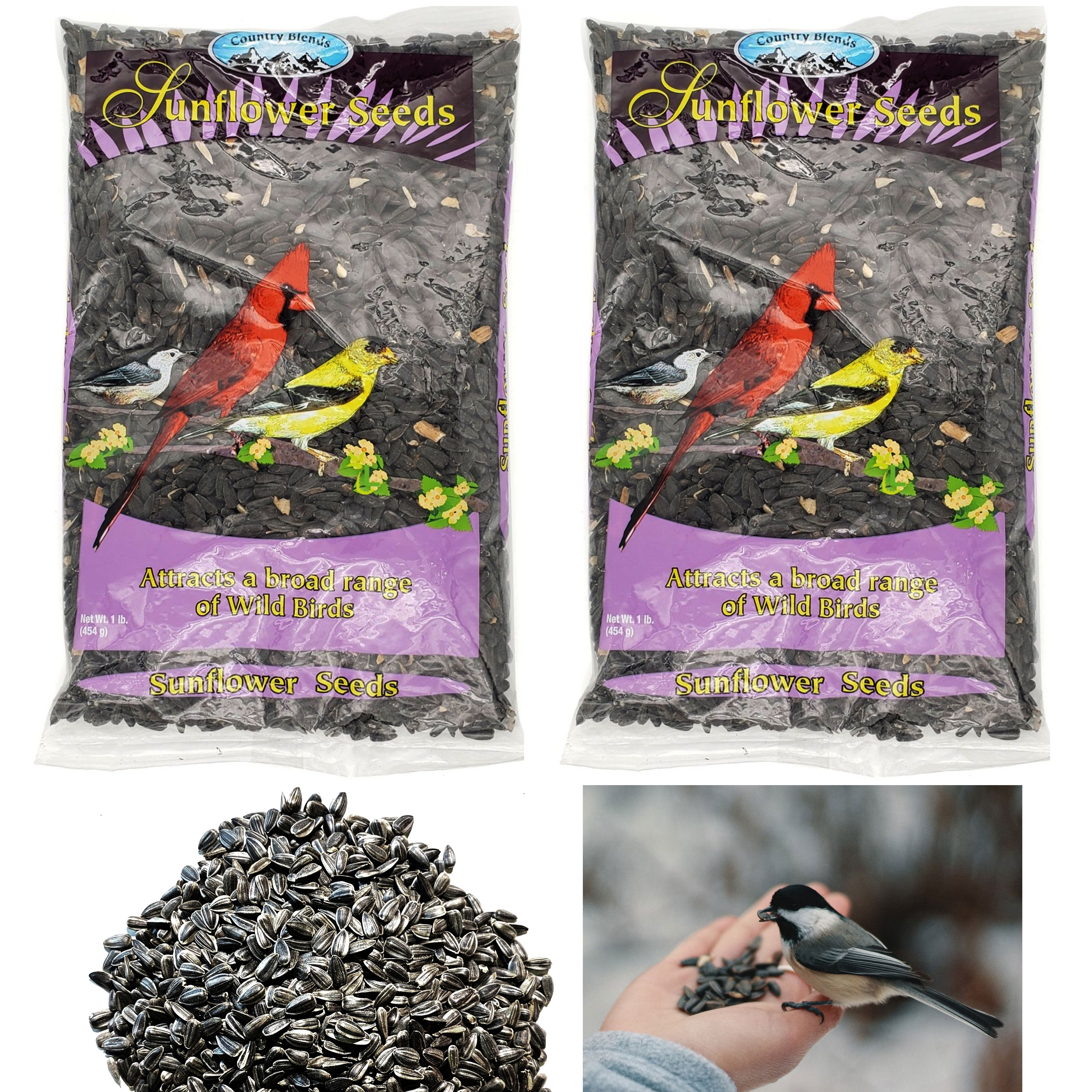 Protein Nutrition Attract Birds